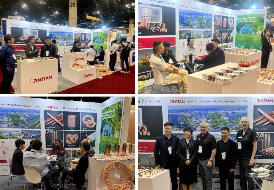 1739769033827252TH9M.jpg 1739769033827252TH9M.jpg